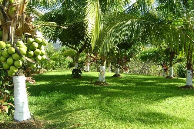 Villa Guarias Пунтаренас Экстерьер фото